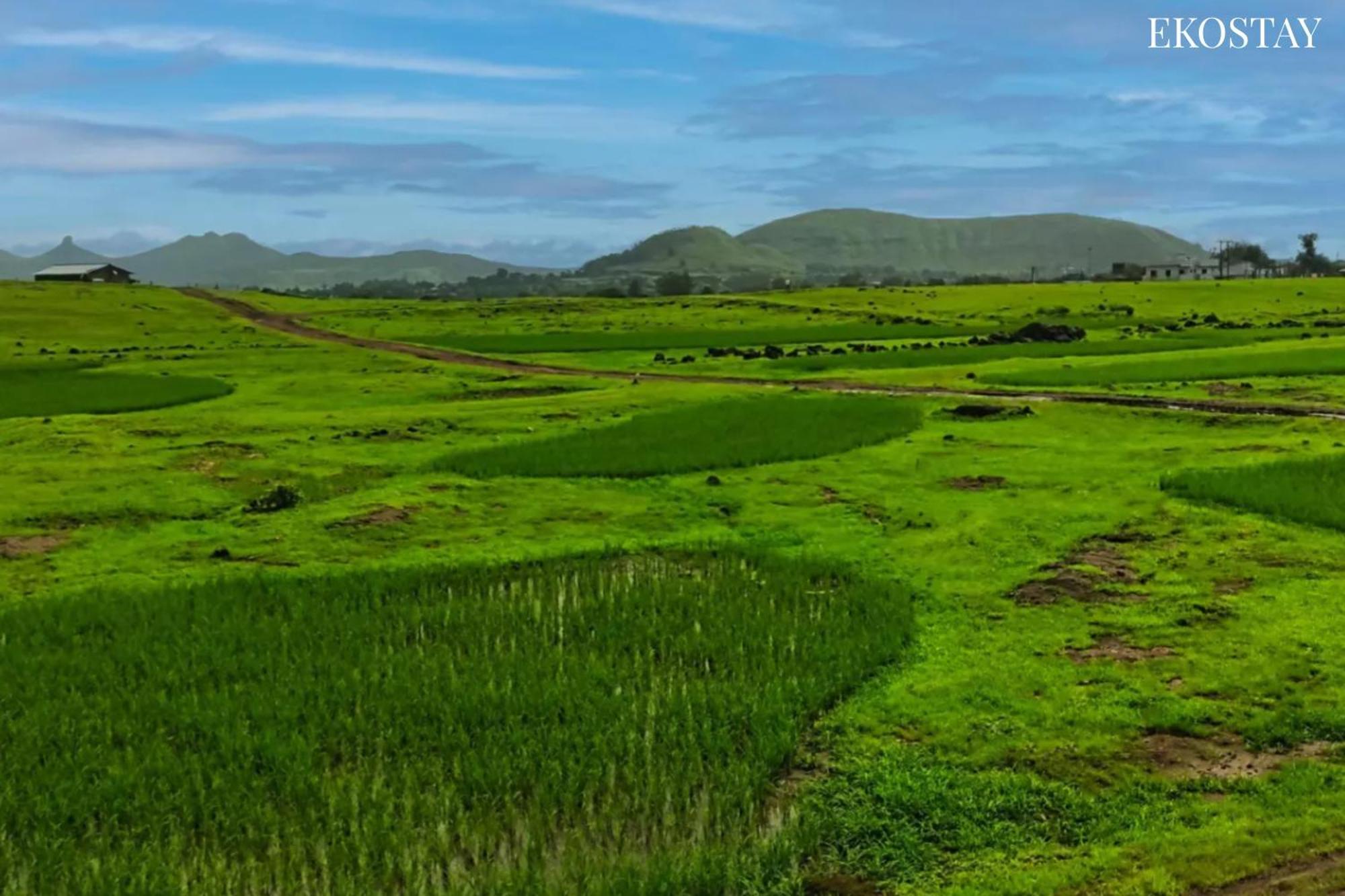 Ekostay - Neptune Villa Igatpuri Exterior foto