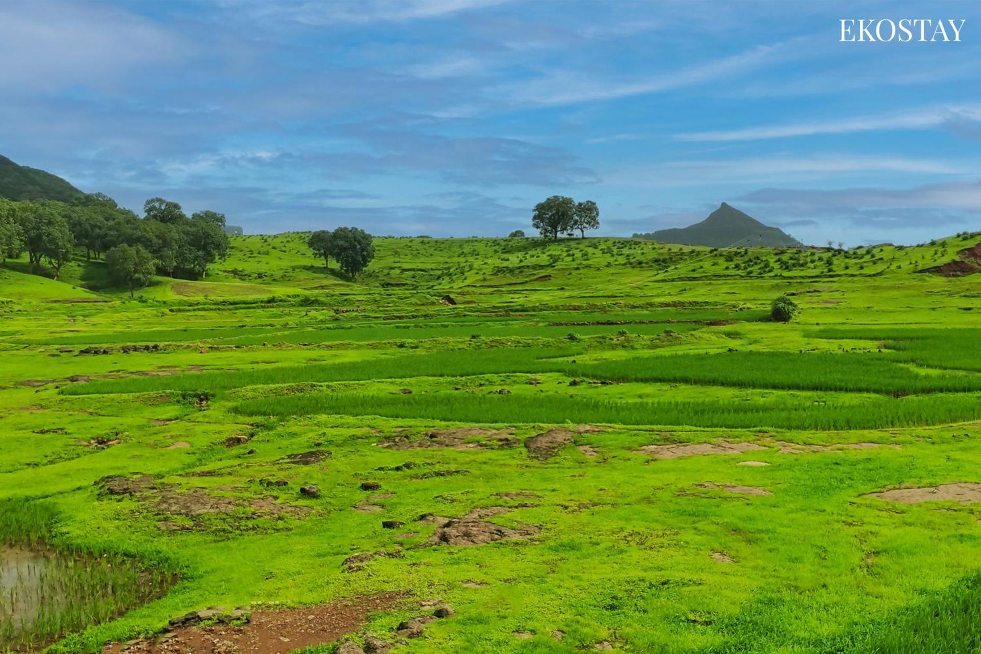 Ekostay - Neptune Villa Igatpuri Exterior foto